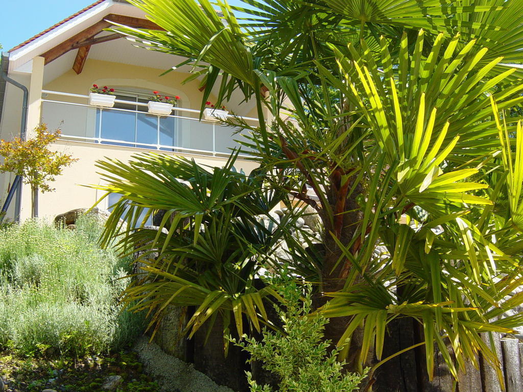 Chambres D'Hotes Coteaux Sud Jurancon ภายนอก รูปภาพ