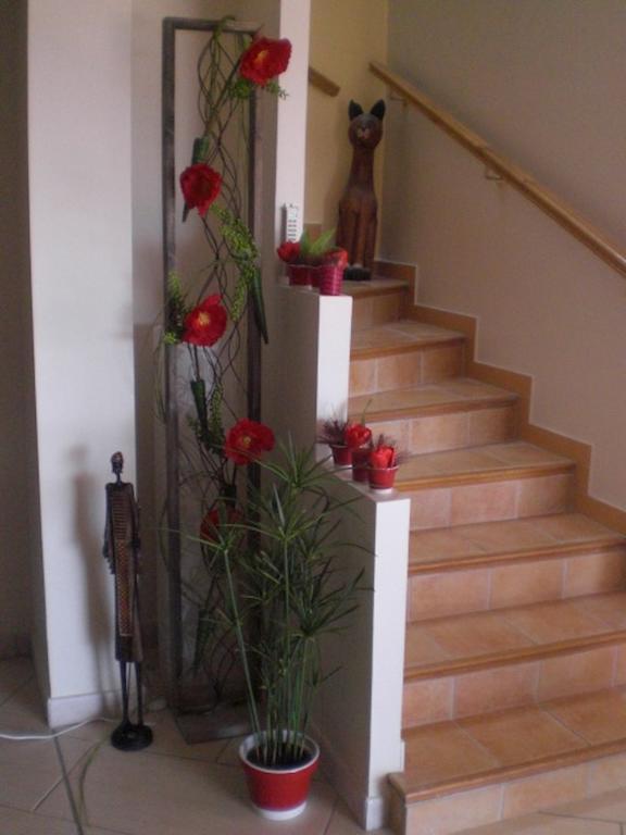 Chambres D'Hotes Coteaux Sud Jurancon ภายนอก รูปภาพ